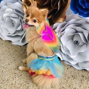 Butterfly Tutu costume for Small Dog